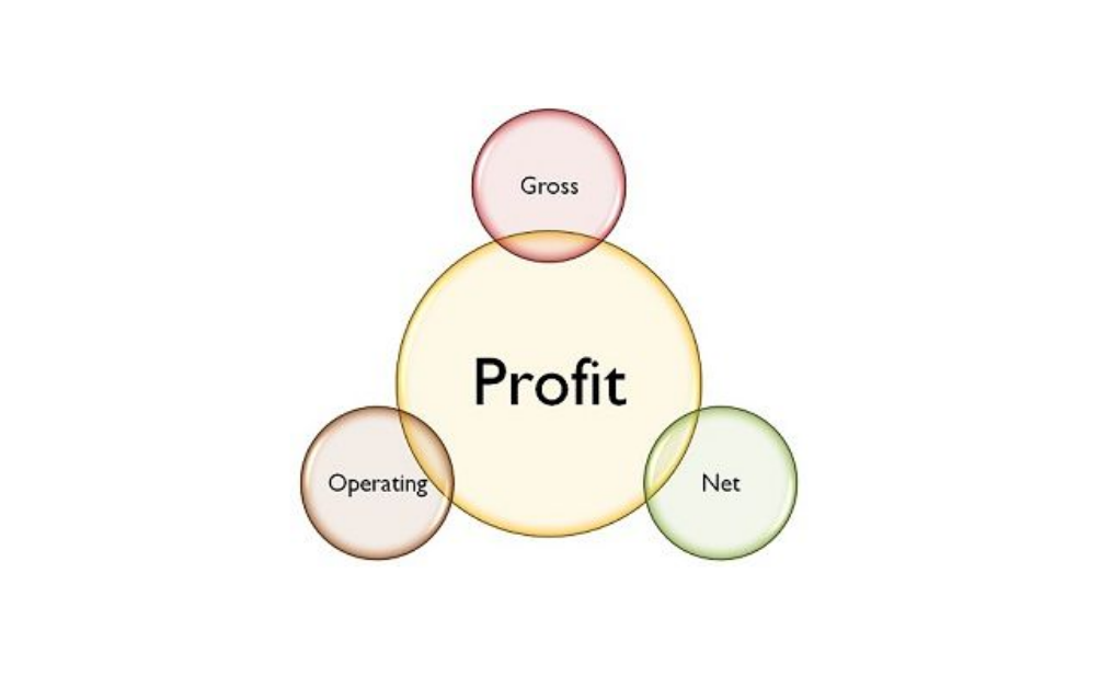understanding-gross-and-net-profit-margins-formulas-definitions-and-how-to-calculate-them