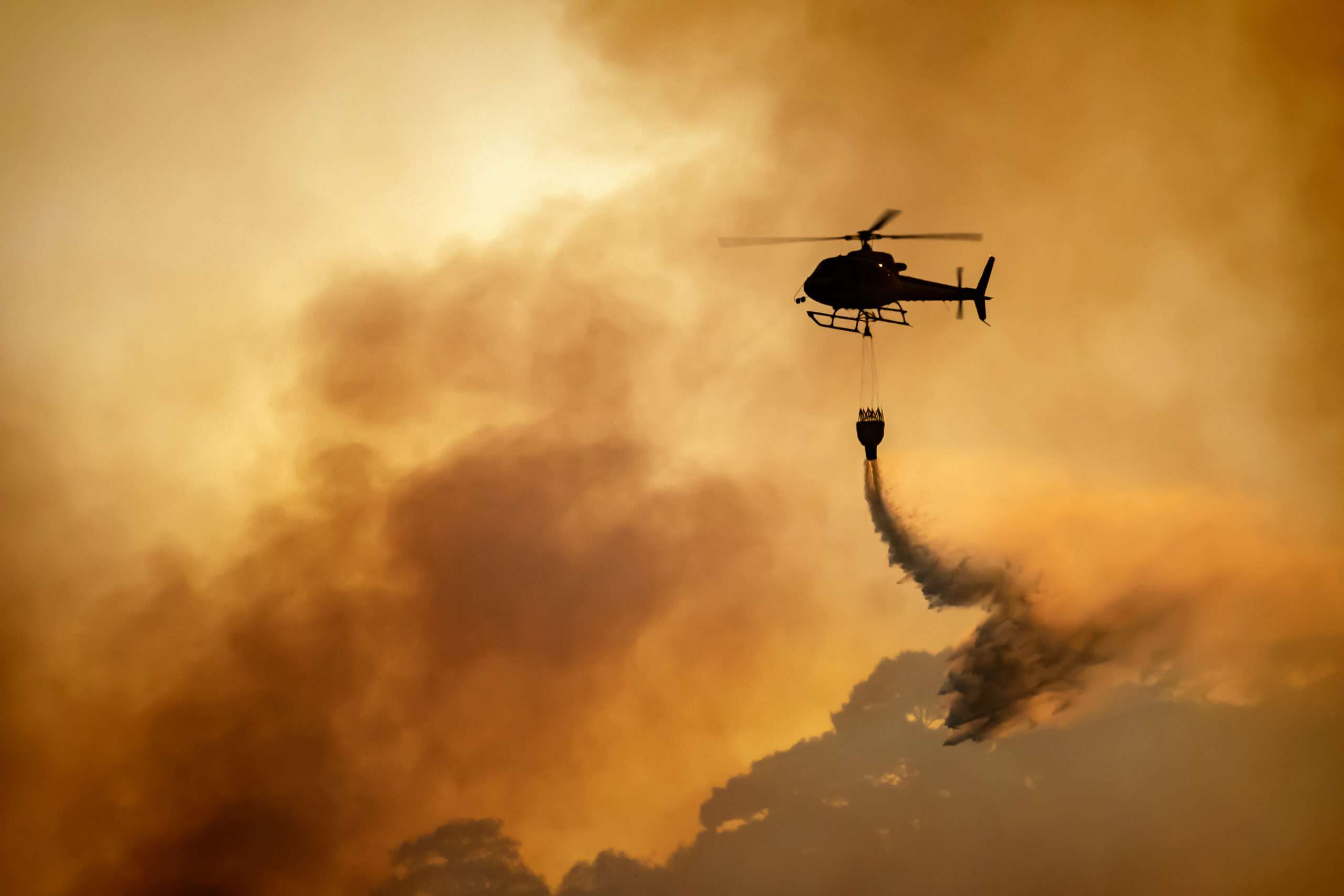 IRS Announces Disaster and Tax Relief for California Wildfire Victims in Los Angeles